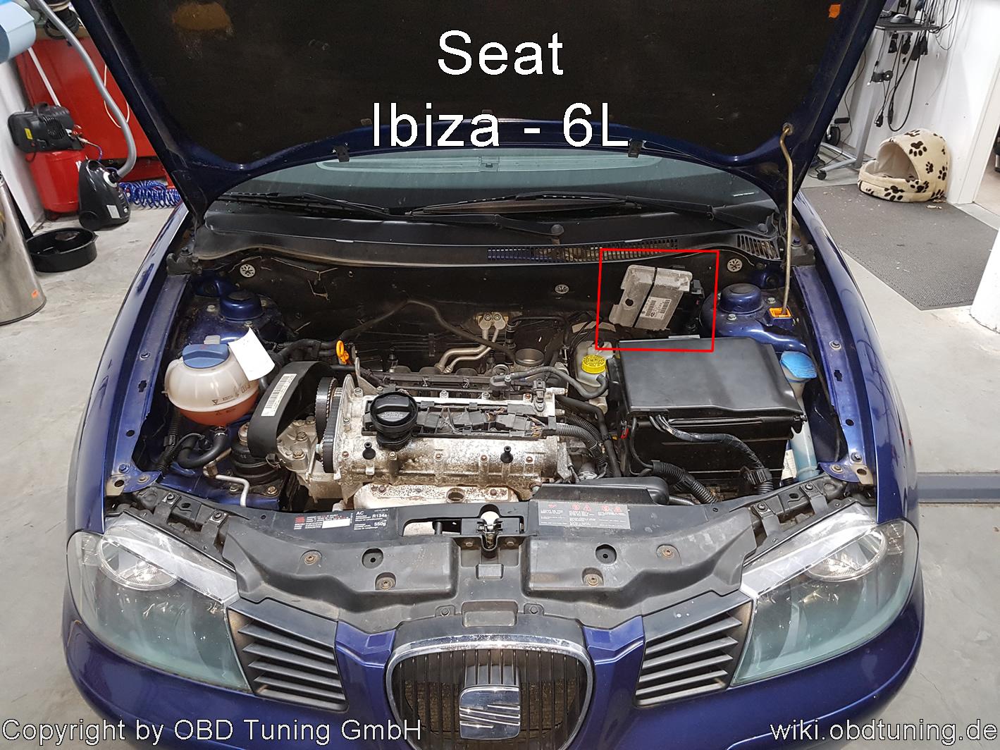 Seat Ibiza 6L ECU sm.JPG