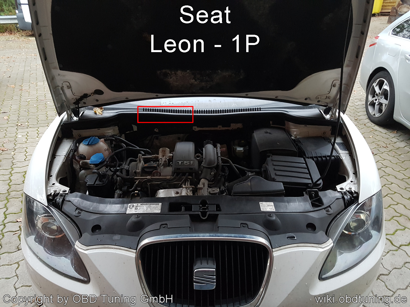 Seat Leon 1P ECU01.jpg