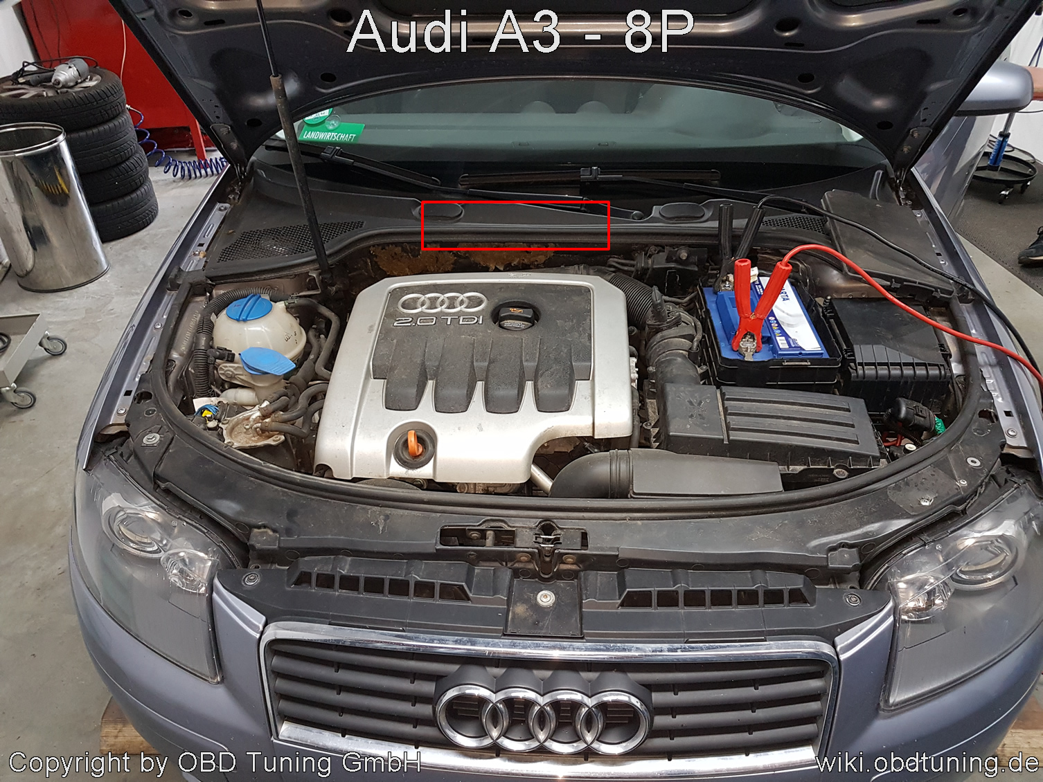 Audi A3 8P ECU.jpg