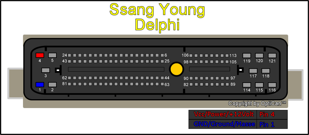 Sang Young Delphi.jpg