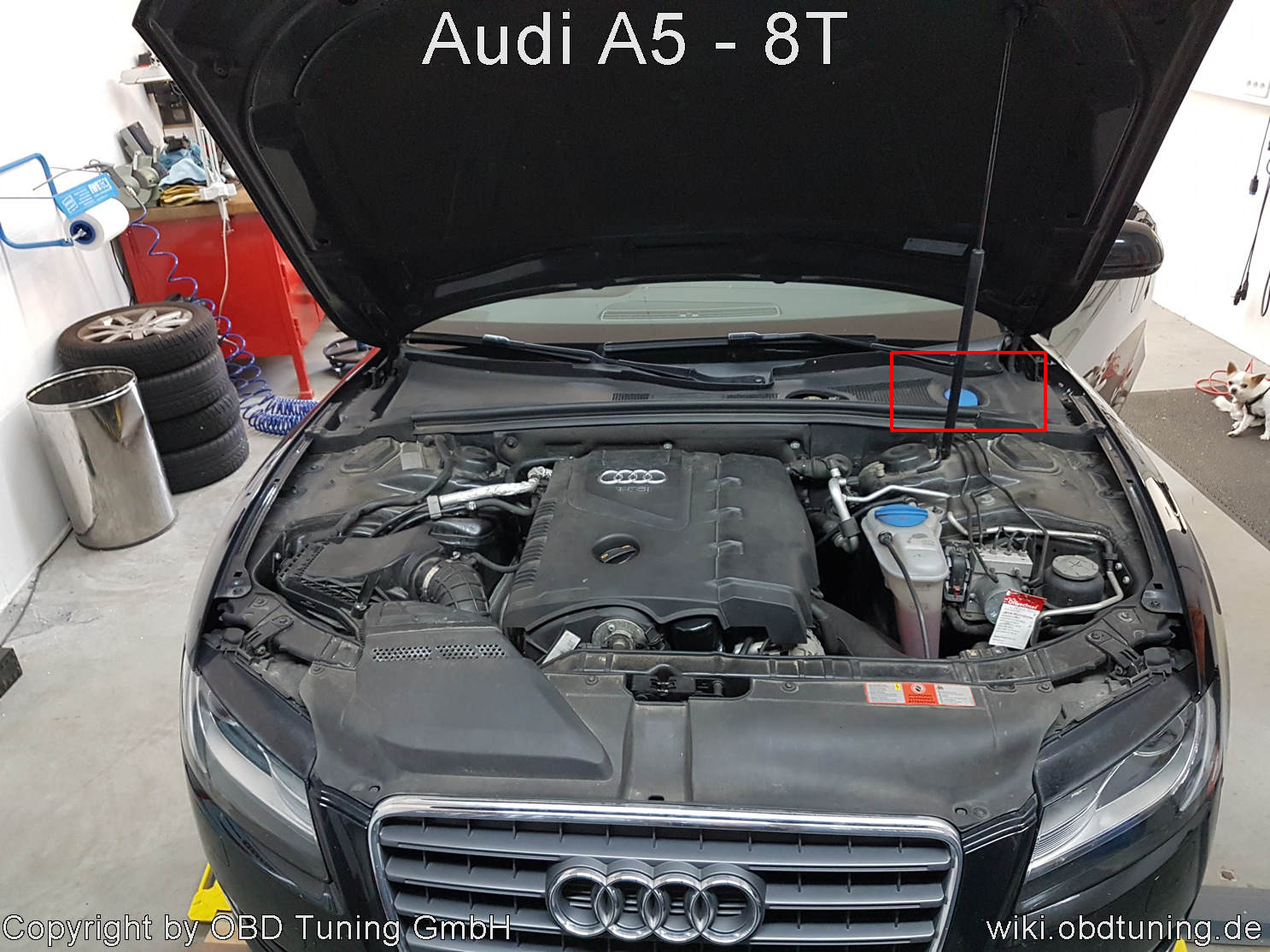 Audi A5 8T ECU 01.jpg
